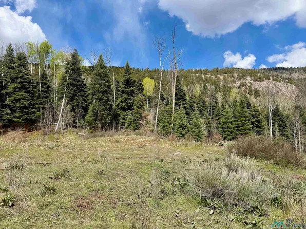 Aspen, Chama, NM 87520