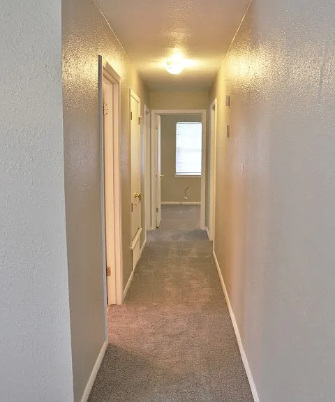 914 Chalk St — Photo 8