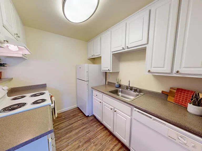 Kitchen Kitchen