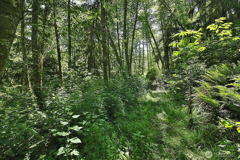 4th image of 0 XXXX Goss Ridge Road