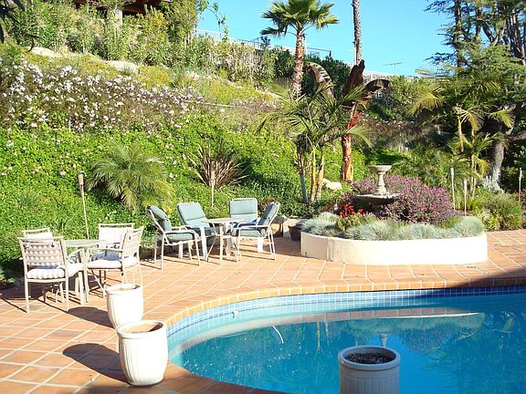 Pool & Back Yard