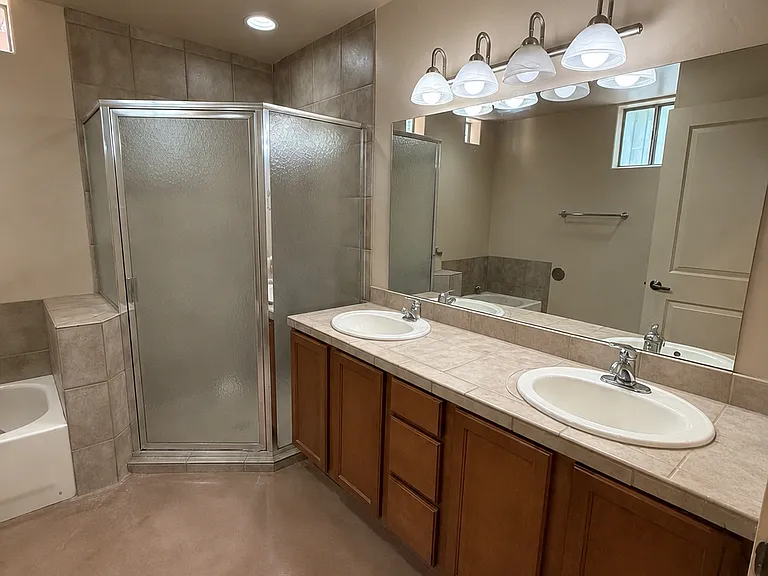 Master Bathroom Sink and Shower