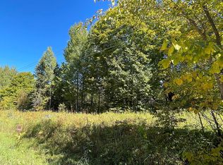 23809 S Ozark Rd, Trout Lake, MI 49793