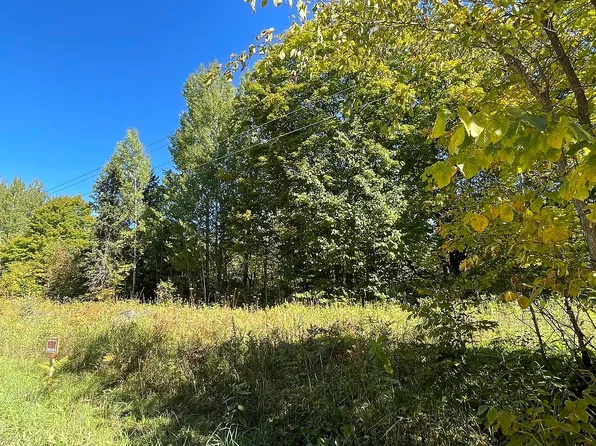 23809 S Ozark Rd, Trout Lake, MI 49793