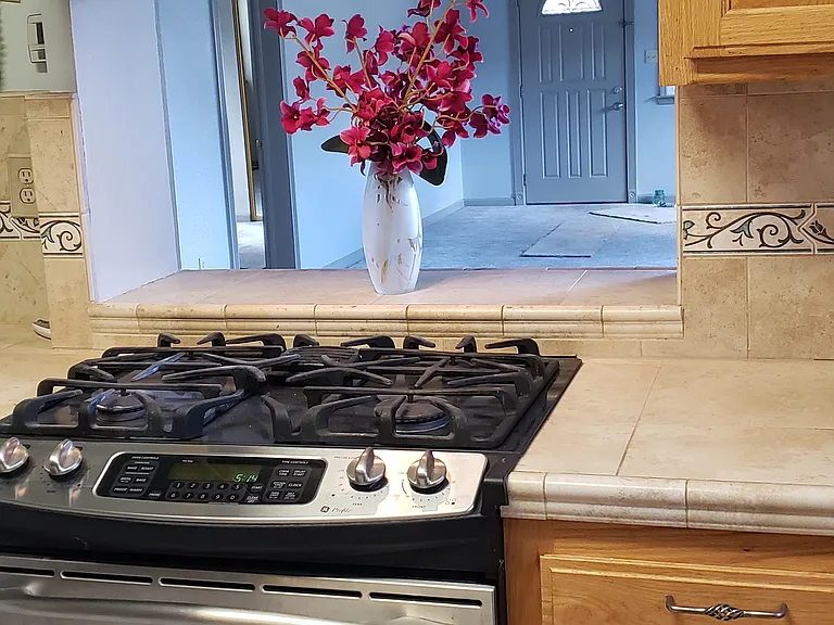 1320 Dimity Ln — Photo 6