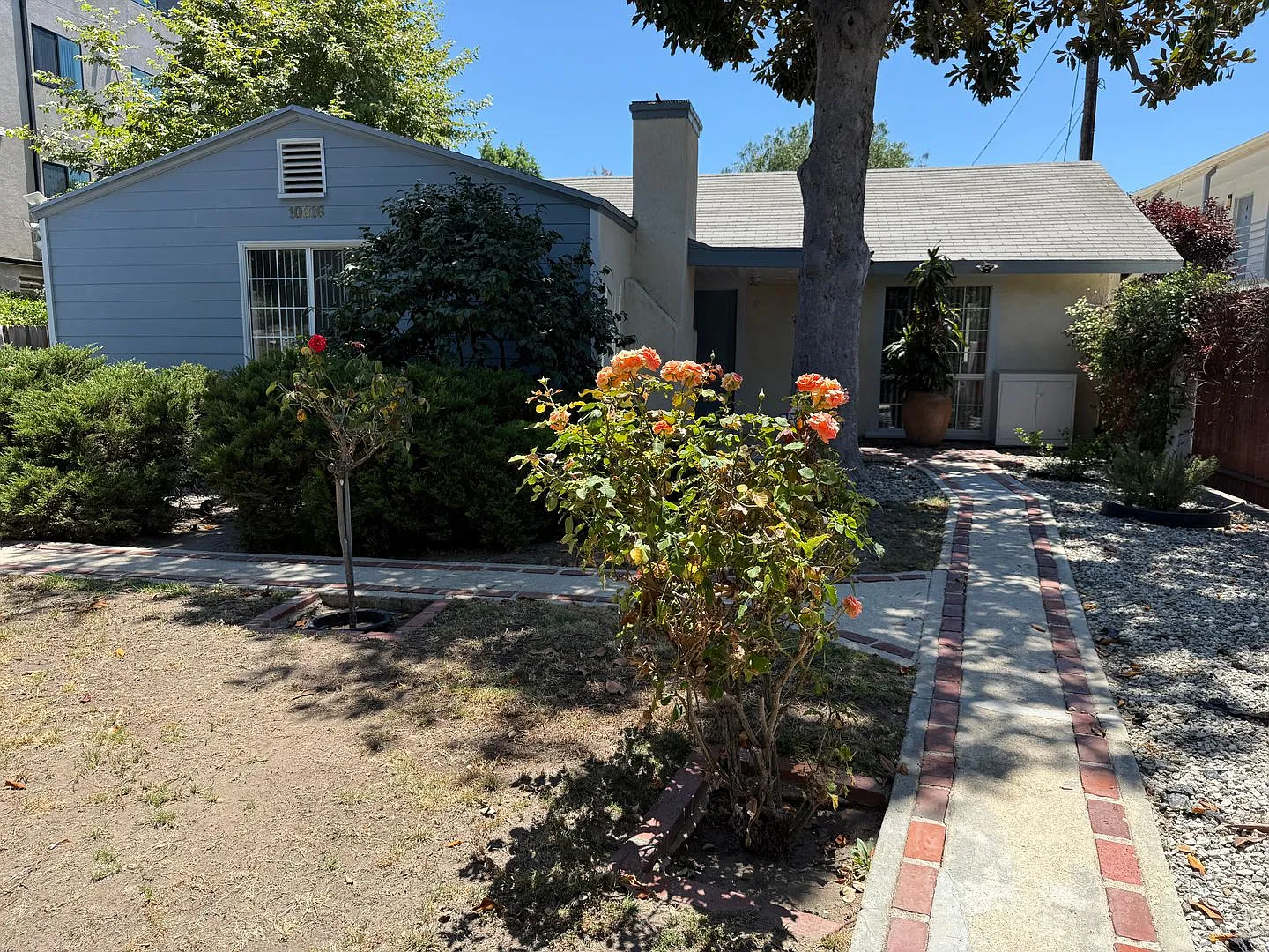 BLIX- Alpaca Apartments — Photo 4