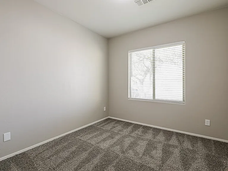 5238 S Camino Laguna Seca — Photo 12