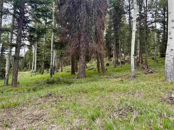 455 Ute Drive, Cimarron, CO 81220