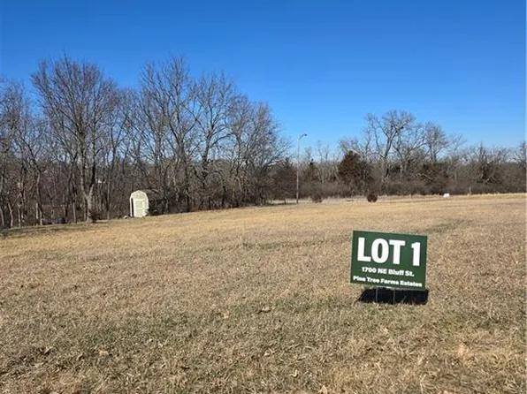 1700 NE Bluff St, Lees Summit, MO 64086