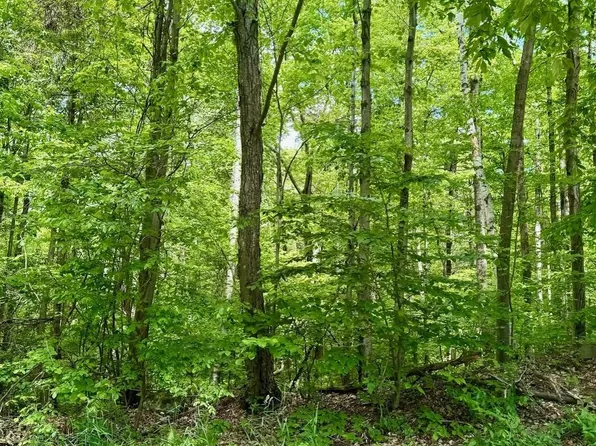 F-88-8 McGettigan Road, Wilton, NH 03086