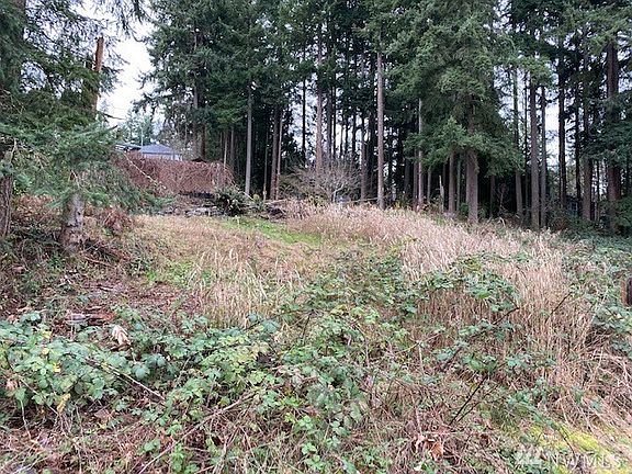 Another View of Lot - Lightly Treed, Slight Slope Backing to Permanent Open Space.