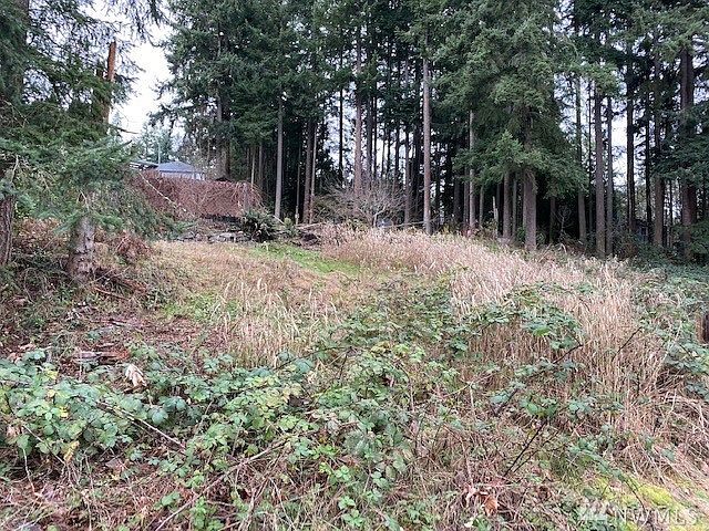 Another View of Lot - Lightly Treed, Slight Slope Backing to Permanent Open Space.