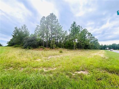4021 W Malaluka Cir, Citrus Springs, FL, 34433