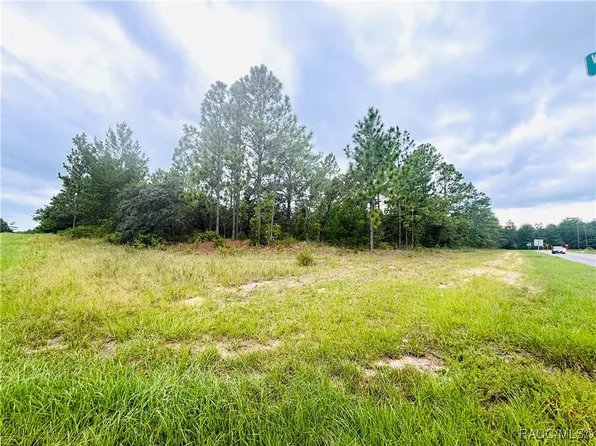 4021 W Malaluka Cir, Citrus Springs, FL 34433