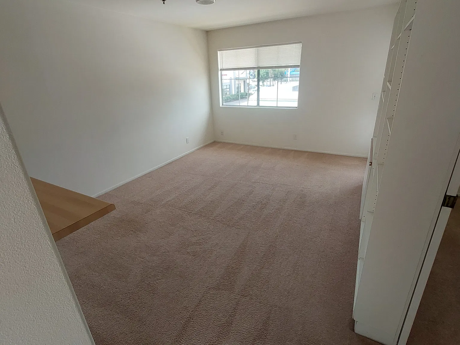1 bed, 500 sqft, $1,600 — Photo 2