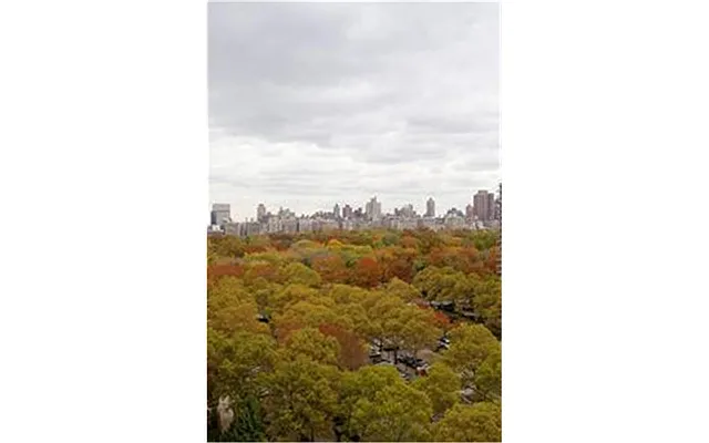 Sold by Douglas Elliman | media 29