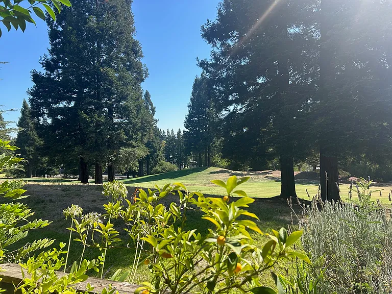 226 Canyon Woods Way #E — Photo 12