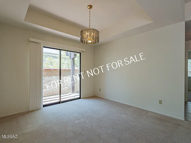 936 E Camino Diestro — Photo 11