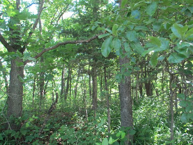 2nd image of 535TH Street