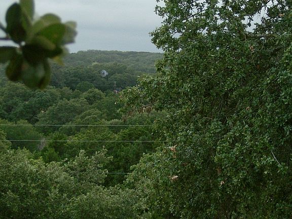 view from front of house