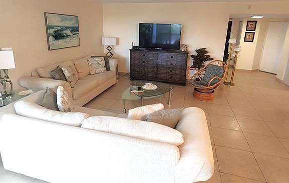 4th image of 500 Egret Cir APT 8410