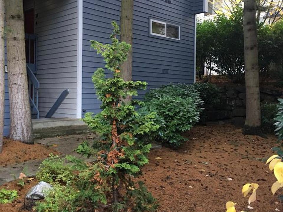 1st image of 3025 127th Pl SE APT L11