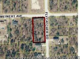 13098 Meinert Ave, Brooksville, FL 34613