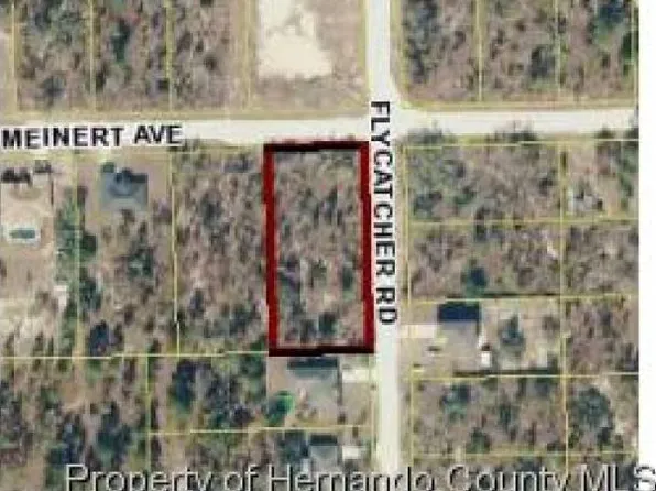 13098 Meinert Ave, Brooksville, FL 34613