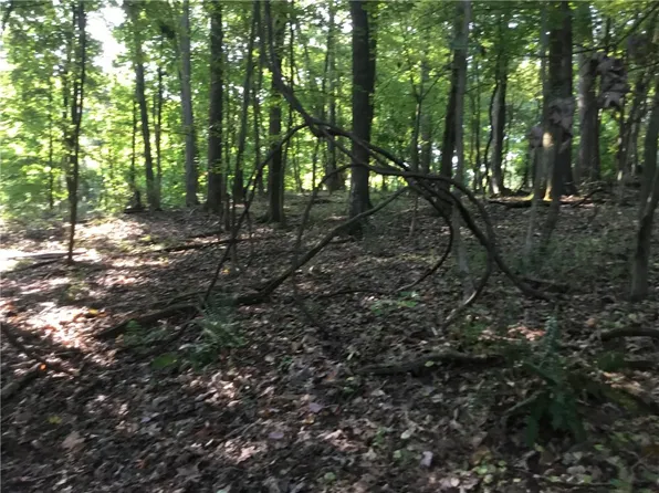44 Forest Rd, Bradfordwoods, PA 15015