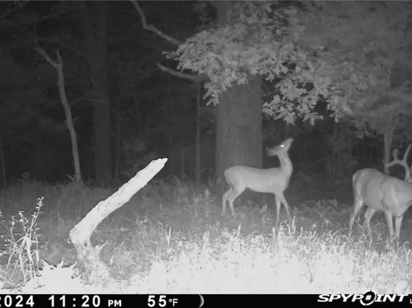 756 Crane Rd, Noel, MO 64854