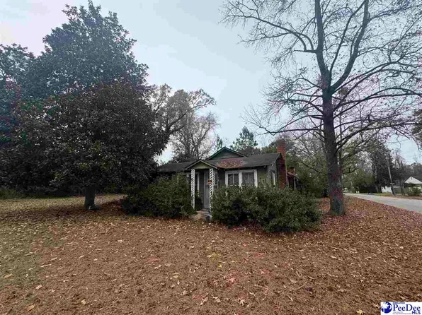 153 E Pine St, Johnsonville, SC 29555