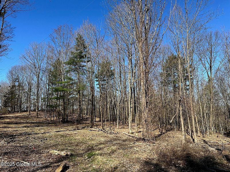 4th image of L26 Snake Hill Road