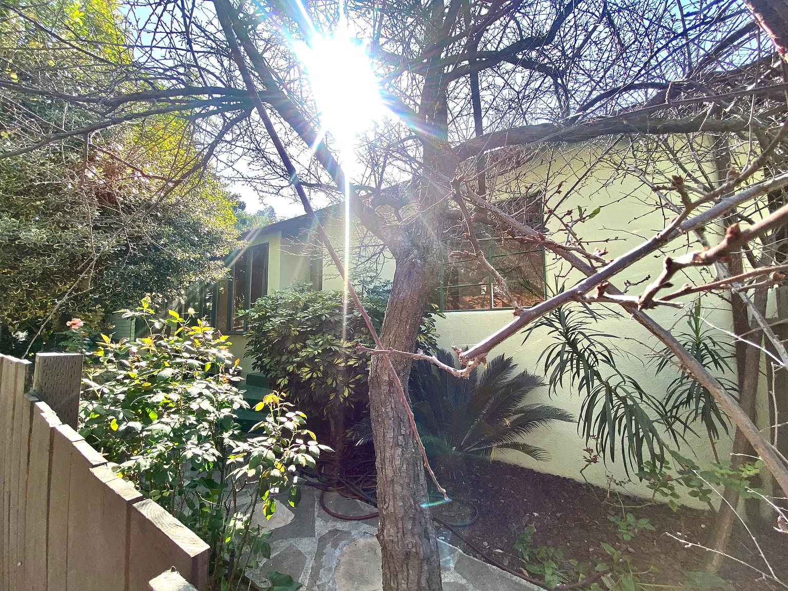 4 bed, 1166 sqft, $6,499 — Photo 3