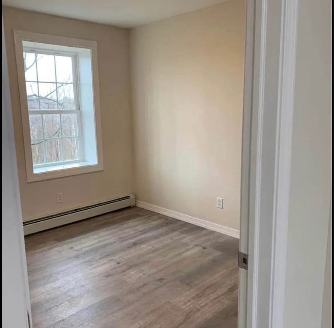 2 bed, 900 sqft, $1,600 — Photo 4