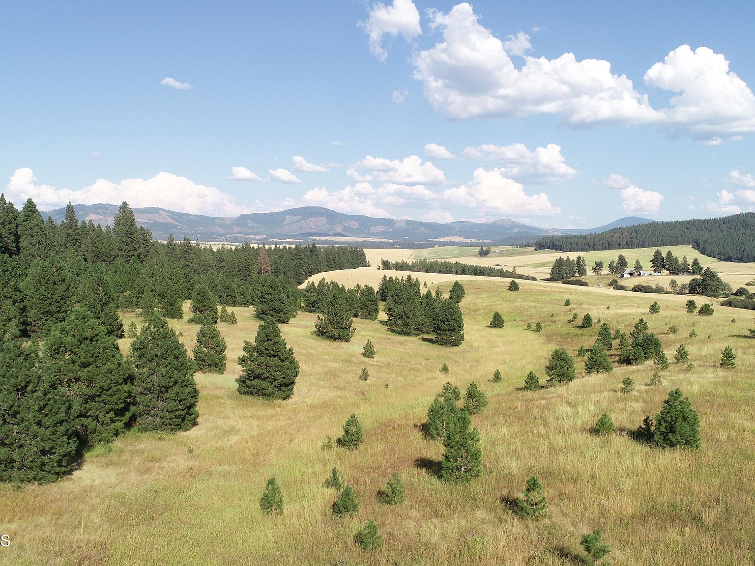 3 Vine Maple, Desmet, ID 83824 Zillow