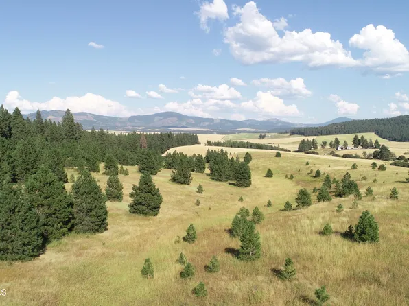 3 Vine Maple, Desmet, ID 83824