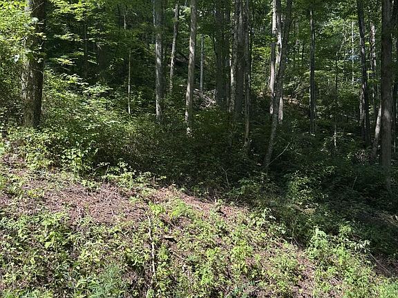 3rd image of 0 Seminole Dr #33