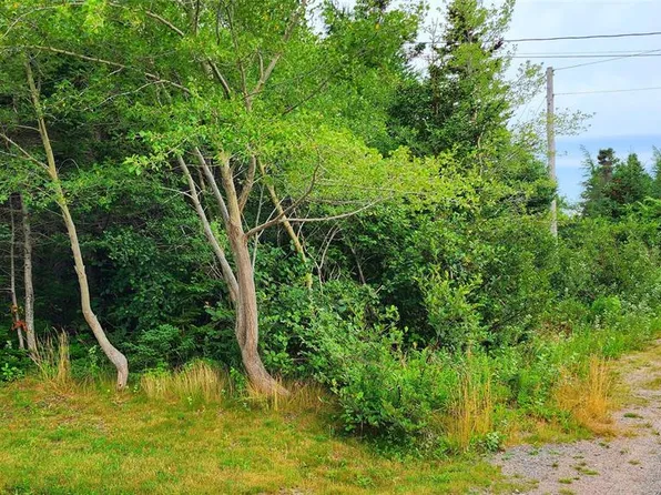 28 Duffs Road, Holyrood, NL A0A2R0