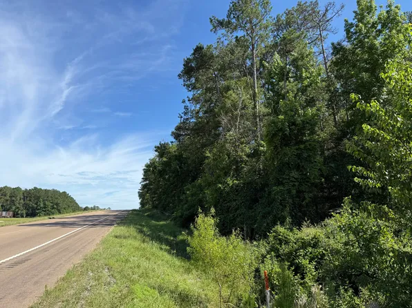 2/ACRE S Highway 49, Collins, MS 39428