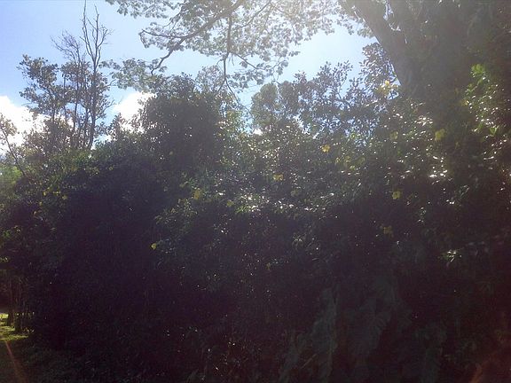 4th image of 29th Ave Lot 515