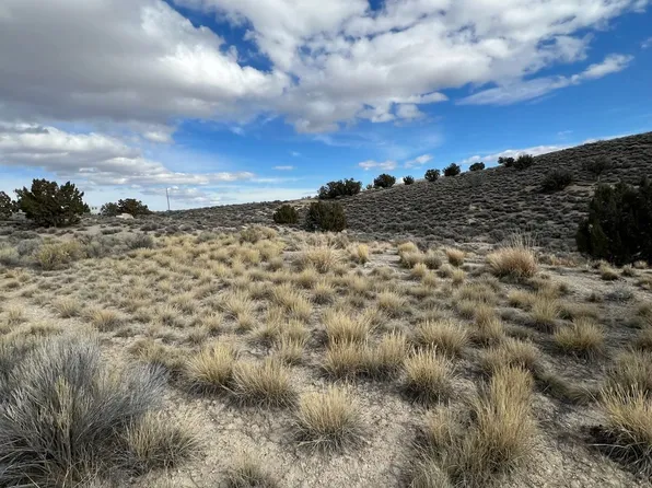 N/a Grant Ave, Spring Creek, NV 89815