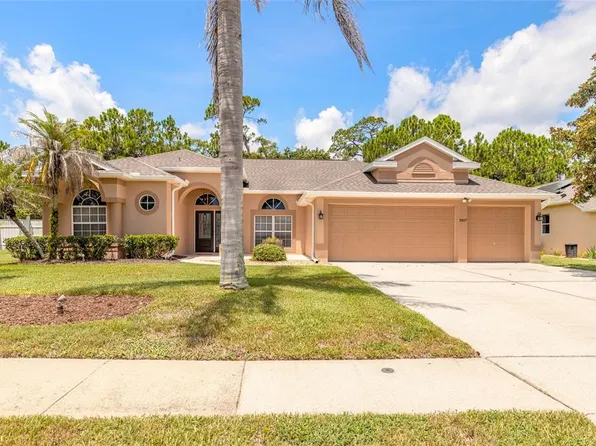 3817 Birch Mountain Rd, Port Orange, FL 32129