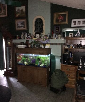 4th image of 8735 Seven Seas Dr