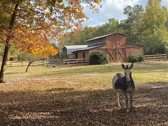 3rd image of 449 Montrose Rd