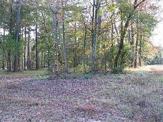 2nd image of 115 Loblolly Ct