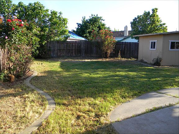 Back Yard with Shed