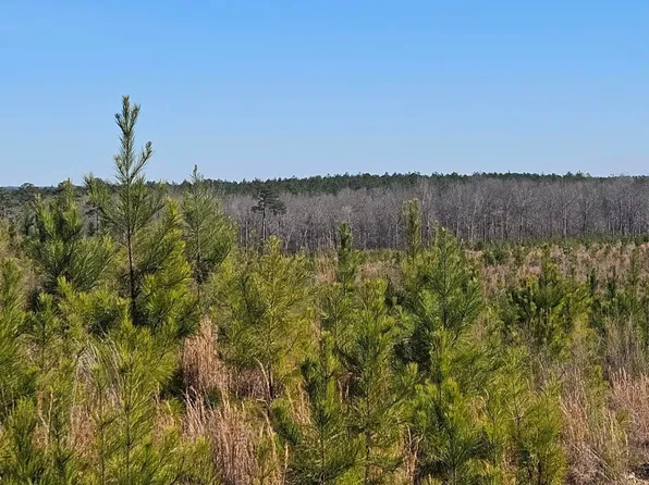 0 Highway 139, Randolph, AL 36792