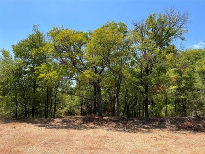 Private Road 350 TRACT 6, Hubbard, TX, 76648