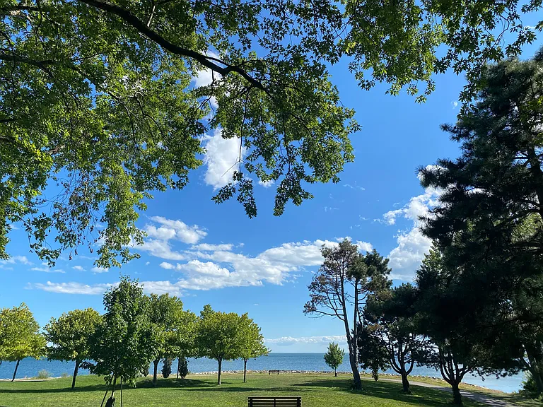 155 Lake Shore Dr #307 — Photo 7