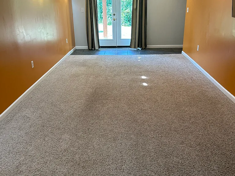 132 Christina Marie Dr — Photo 22
